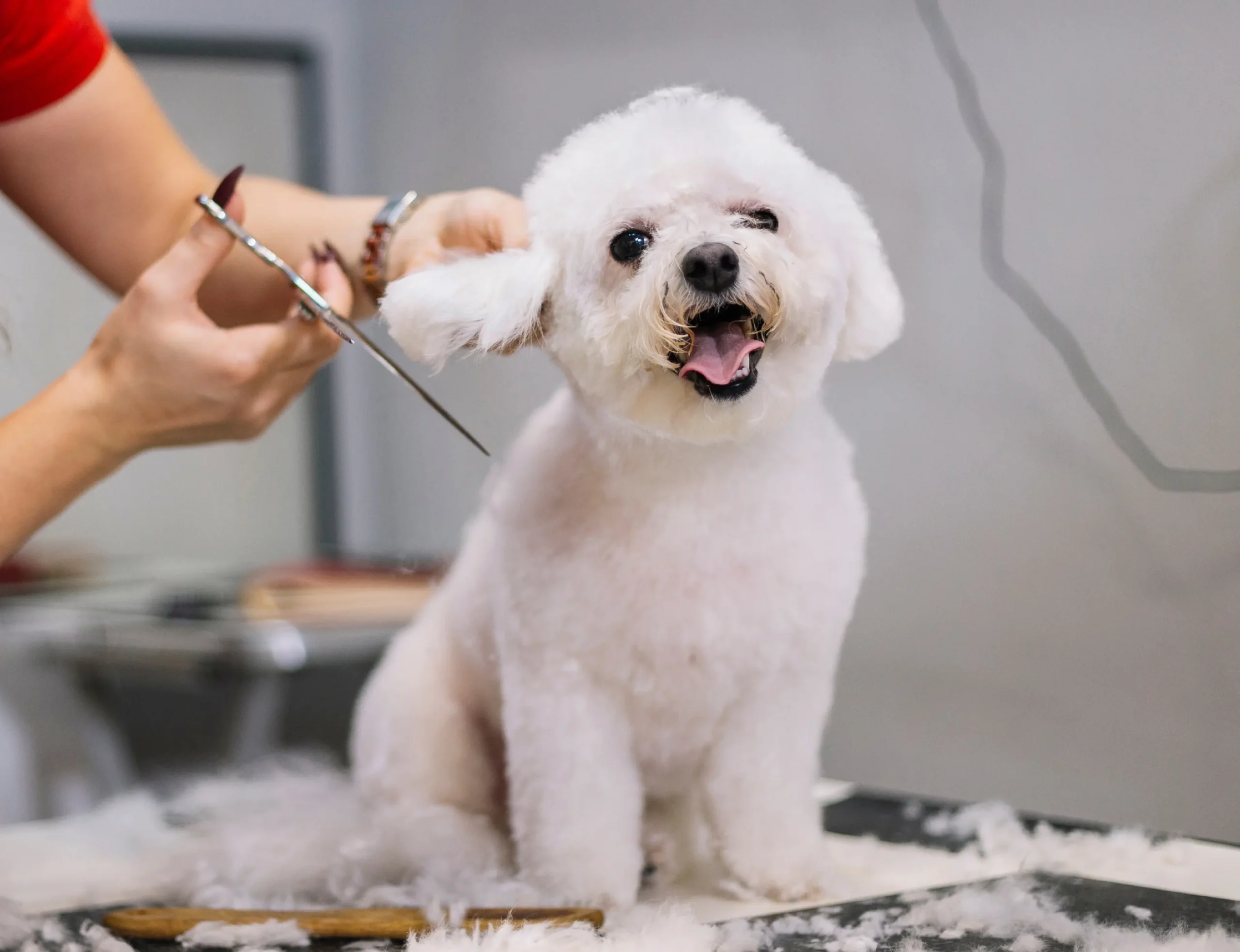 Grooming